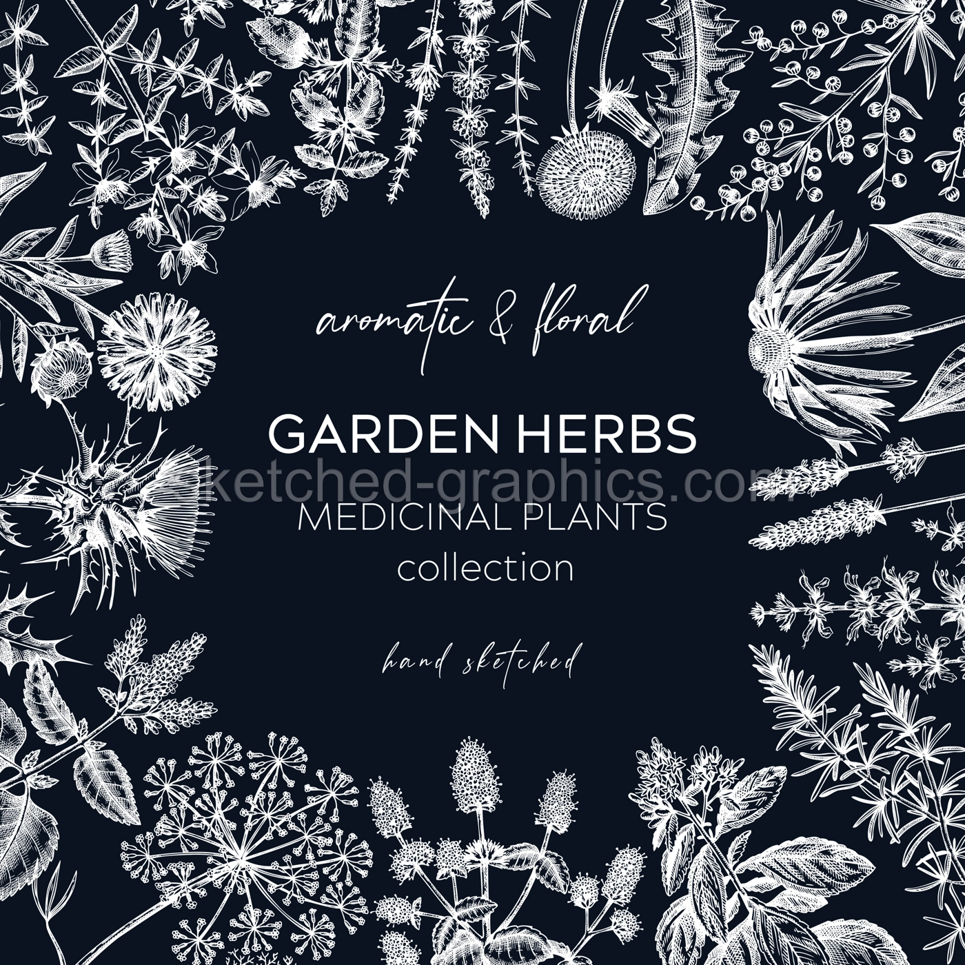 Vintage herbs card design. Sketched aromatic plants frame on chalkboard. Botanical design. Herbal tea ingredients. Hand drawn medicinal herbs cover, invitation, banners, stickers, label, packaging.  Illustration